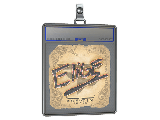 Sticker Slab | EliGE | Austin 2025