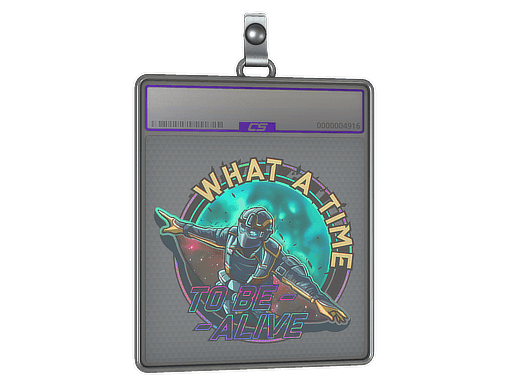 Sticker Slab | Wingsuit (Holo)