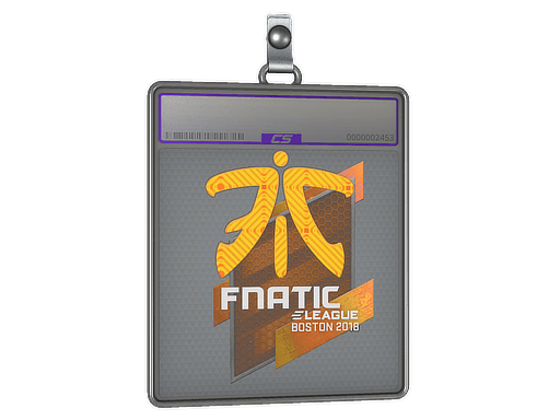 Sticker Slab | Fnatic (Holo) | Boston 2018