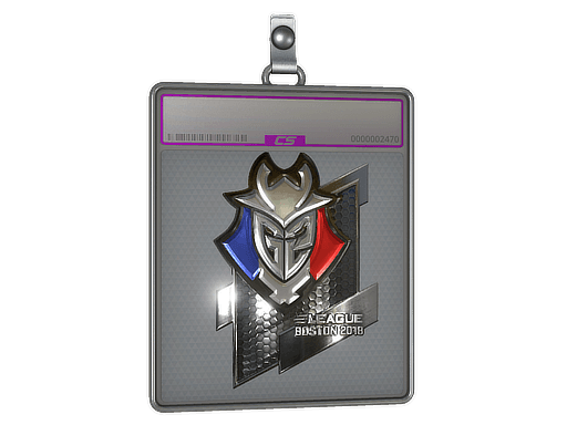 Sticker Slab | G2 Esports (Foil) | Boston 2018