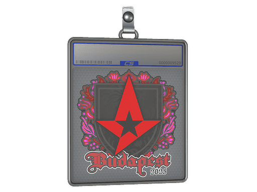 Sticker Slab | Astralis | Budapest 2025