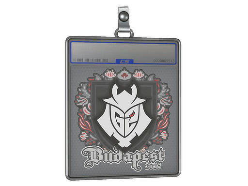 Sticker Slab | G2 esports | Budapest 2025