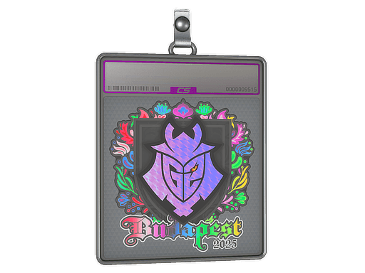 Sticker Slab | G2 esports (Holo) | Budapest 2025