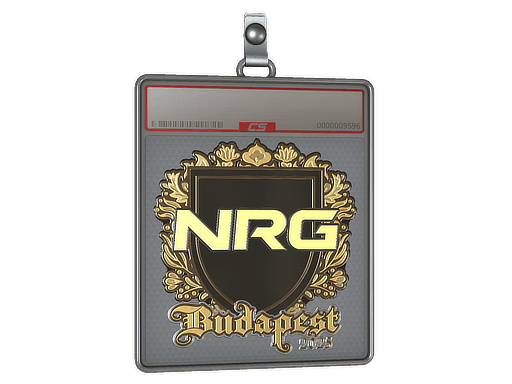 Sticker Slab | NRG (Gold) | Budapest 2025