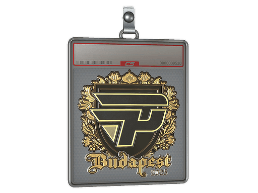 Sticker Slab | paiN Gaming (Gold) | Budapest 2025