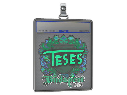 Sticker Slab | TeSeS | Budapest 2025