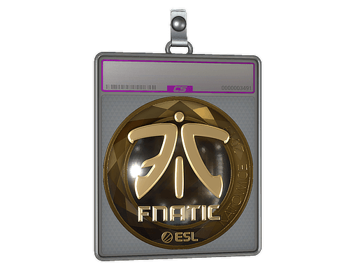 Sticker Slab | Fnatic (Gold) | Katowice 2019