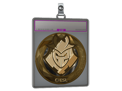 Sticker Slab | G2 Esports (Gold) | Katowice 2019
