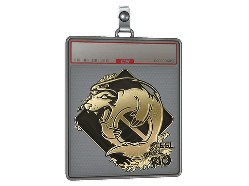 Sticker Slab | Outsiders (Gold) | Rio 2022