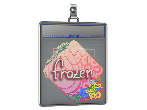 Sticker Slab | frozen | Rio 2022