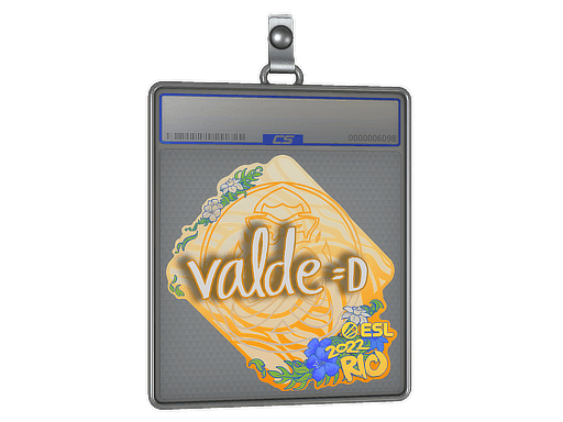 Sticker Slab | v4lde | Rio 2022